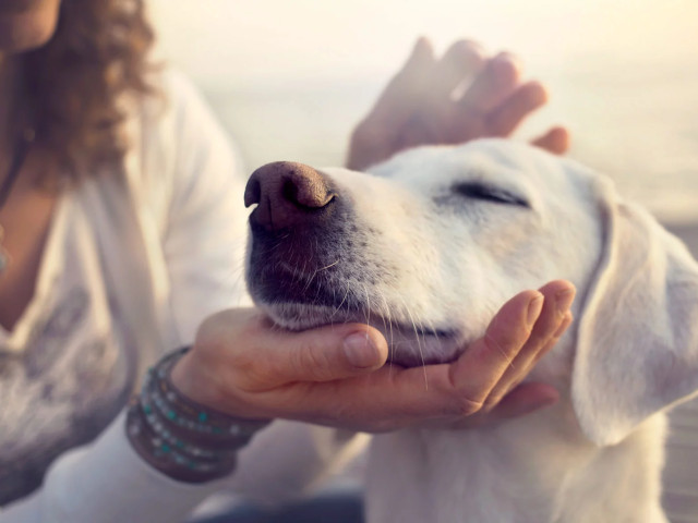 media.Slide-Servizi3Elegance-Residence-Cervia