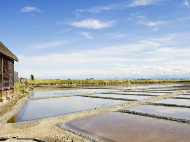 media.SlideTerritorio1-Elegance-Residence-Cervia